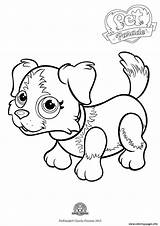 Coloring Collie Border Pages Pet Parade Cute Dog Print Color Printable Getcolorings Puppy Info Coloriage Book Getdrawings Colorings sketch template