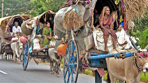 call for survey of nomadic tribes the hindu