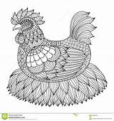 Coloring Chicken Adult Pages Zentangle Stock Dreamstime Drawn Hand Book sketch template