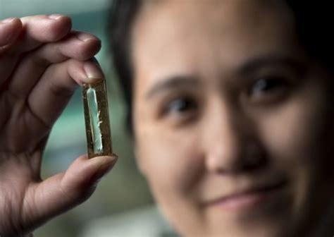 extraordinary nanowire battery   charged   times science technology sottnet