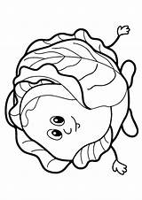 Cabbage Repollo Repolho Colorear Dibujosonline Categorias Colouring Colorironline Parentune Momjunction sketch template