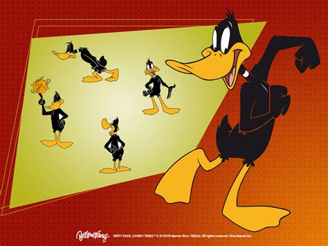 daffy duck wallpaper looney tunes wallpaper  fanpop
