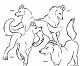 Wolf Coloring Pages Pack Printable Wolves Anime Print Kids Team Drawing Winged Realistic Color Wings Howling Cute Baby Moon Cub sketch template