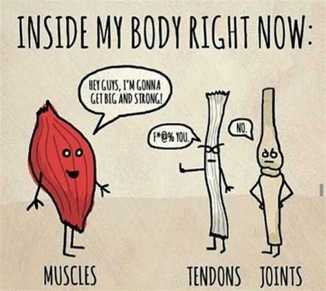 36 Hilarious Leg Day Memes For When You Re Sore And Feel