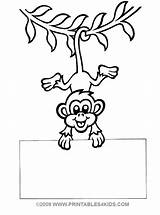 Swinging Monkey Coloring Getdrawings sketch template