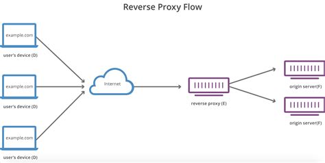 whats  difference   proxy server   reverse proxy server