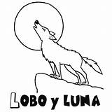 Lobo Pintar Aullando Lobos Bosque Lobitos Wolves Guiainfantil Ninos Colorar Coloreen sketch template