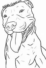 Pitbull Dog Coloring Pit Pages Bull Clipart Stencils Line Adult Drawing Stencil Drawings Pitbulls Tattoo Book American Dogs Use Silhouette sketch template