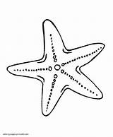 Sea Star Coloring Pages Starfish Drawing Invertebrates Stars Animal Patrick Printable Animals Source Kids Getdrawings Print Visit sketch template
