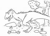 Colorare Disegni Colorat Dinosauro Dinozauri Copii Planse Imagini Bambini Desene Brontosauro Coluroid Desen Plansa sketch template