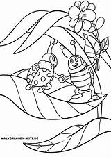 Malvorlage Insekten Malvorlagen Ausmalbilder Ausmalen Marienkafer Marienkäfer Kinderbilder Marienkaefer sketch template