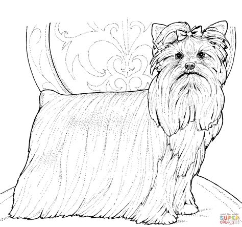 yorkshire terrier  yorkie dog coloring page horse coloring pages