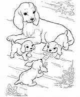 Coloring Pages Dogs Printable Dog Animal Puppy Puppies Kids Color Pups sketch template