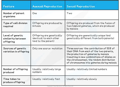 Sexual And Asexual Reproduction Differences 3 1 Edexcel Igcse