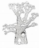 Tree Hollow Coloring Clipart Top Drawing Trees Template Pages Cliparts Mitten Getdrawings Library sketch template