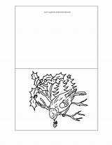 Christmas Cards Printable Coloring Echo Species Birds Bird Winter Card Pages Coloringhome Comments sketch template
