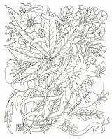 Coloring Pages Weed Adult Stoner Printable Marijuana Leaf Stencil Trippy Drawing Smoking Pot Color Plant Colouring Print Hemp Books Tattoo sketch template