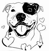 Dessin Drawings Staffy Pitbull Drawing Coloring Dog Pages Chien Bull Terrier Staffordshire Pit Coloriage Tattoo Sheets American Amstaff Outlook Puppy sketch template