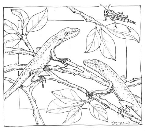 printable nature coloring pages  adults coloringpagec