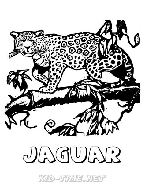 jaguar coloring pages  kids time fun places  visit