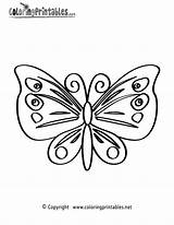 Coloring Butterfly Pages Printable Nature Adults Book Print Mandala Outline Line Vintage Printables Template Colouring Patterns Wings Thank Please Angel sketch template