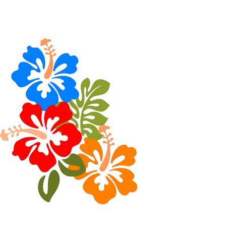 hibiscus flower png svg clip art  web  clip art png icon