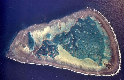 versauerung der meere schaedigt korallen seit beginn der
