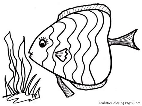 gambar rainbow fish outline   clip art template az coloring