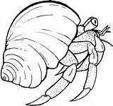 Hermit Crab Coloring Pages Clip Crabs Cartoon Drawings sketch template
