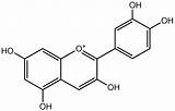 Lipid sketch template