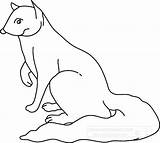 Mongoose Clipart Animals Transparent sketch template