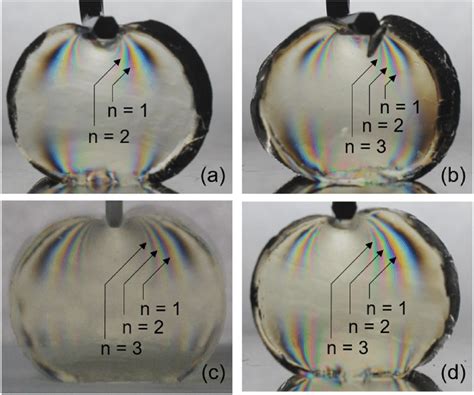 digital image obtained  photoelastic constant measurement  scientific diagram