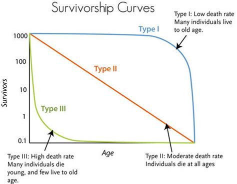 survivorship curve hw mrsromans honors biology