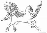 Hippogriff sketch template
