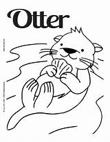 Otter Coloring Sea Otters Pages Unto Printable Kids Template Sheets River Color Baby Colouring Sheet Craft Animal Book Print Cartoon sketch template