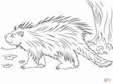 Porcupine Coloring Pages Cute Printable Animals Porcupines Color Wolf Baby Drawing Compassion North Colouring Kindergarten American Designlooter Realist Woodland Adult sketch template