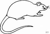 Mole Rat sketch template