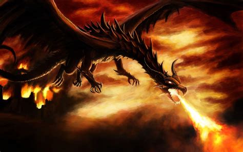 real dragon wallpapers top  real dragon backgrounds wallpaperaccess