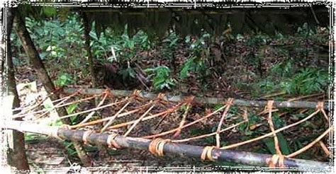 six of the top wilderness survival shelters survival shelter survival tips wilderness survival