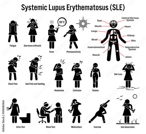 systemic lupus erythematosus sle autoimmune disease icons pictogram