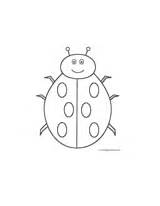 Ladybug Ladybugs Smiling Diplomas Bigactivities sketch template