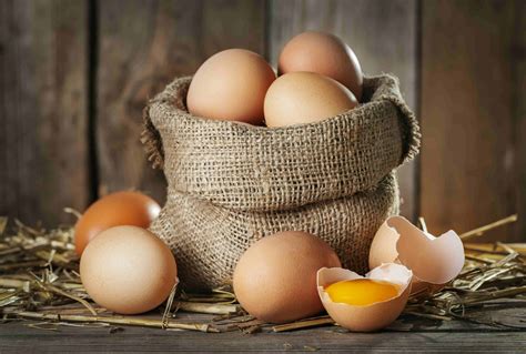 qual  importancia  os beneficios dos ovos simply flow  fatima lopes