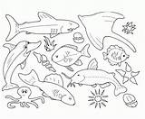 Creatures Coloring Pages Sea Getcolorings Undersea sketch template