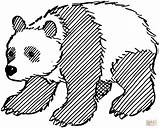 Panda Giant Coloring Pages Bear Outline Drawing Printable Pandas Adults Color Drawings Clipart Bears Line Kids Gif sketch template