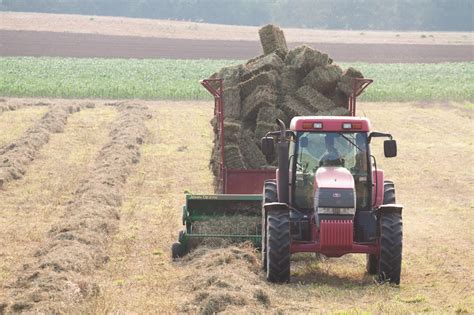 baling hay northford ct