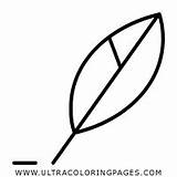 Quill Coloring Pages sketch template
