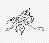 Agrifoglio Wreath Cintas Vectores sketch template