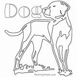 Coloring Dog Cattle Australian Redbone Coonhound Colorings Getcolorings Printable Getdrawings Template sketch template