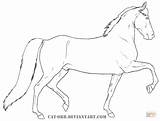 Pferd Caballo Ausmalbilder Ausmalbild Dibujo Caballos Horses Pferde Lineart Ausdrucken sketch template