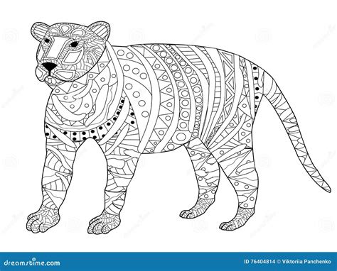 tiger coloring vector  adults stock vector illustration
